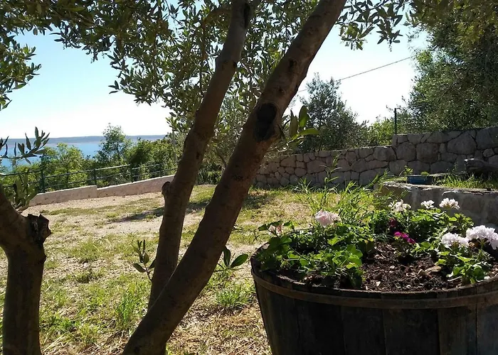 Hébergement de vacances House Mia *